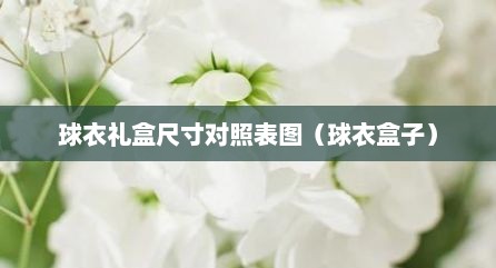 球衣礼盒尺寸对照表图（球衣盒子）