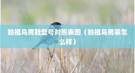 始祖鸟男鞋型号对照表图（始祖鸟男装怎么样）