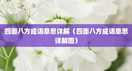 四面八方成语意思详解（四面八方成语意思详解图）