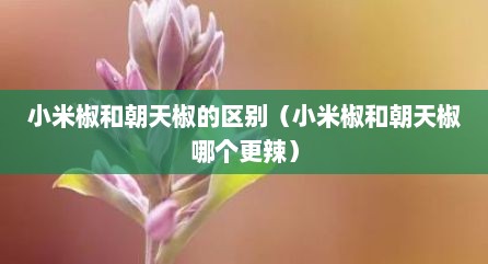小米椒和朝天椒的区别（小米椒和朝天椒哪个更辣）