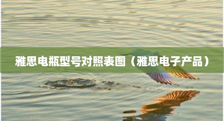 雅思电瓶型号对照表图（雅思电子产品）