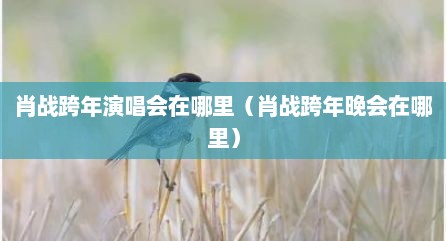 肖战跨年演唱会在哪里（肖战跨年晚会在哪里）