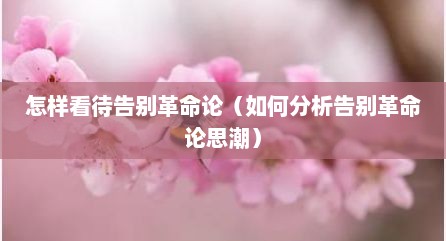 怎样看待告别革命论（如何分析告别革命论思潮）