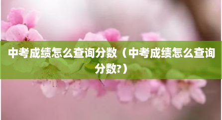 中考成绩怎么查询分数（中考成绩怎么查询分数?）