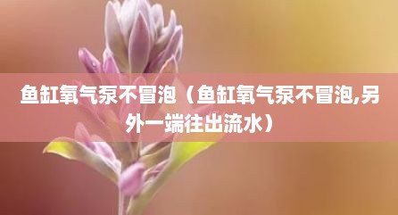 鱼缸氧气泵不冒泡（鱼缸氧气泵不冒泡,另外一端往出流水）