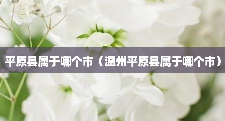 平原县属于哪个市（温州平原县属于哪个市）
