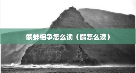 鹬蚌相争怎么读（鹬怎么读）