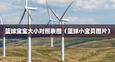 篮球宝宝大小对照表图（篮球小宝贝图片）