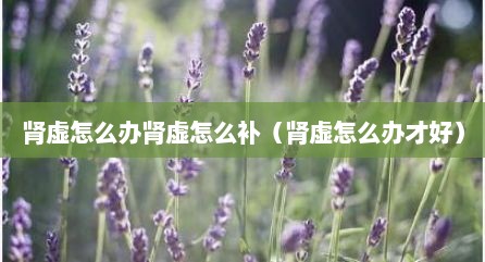 肾虚怎么办肾虚怎么补（肾虚怎么办才好）