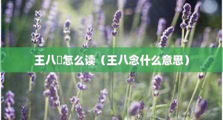 王八兲怎么读（王八念什么意思）
