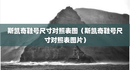 斯凯奇鞋号尺寸对照表图（斯凯奇鞋号尺寸对照表图片）