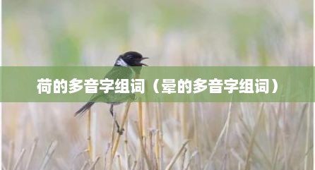 荷的多音字组词（晕的多音字组词）