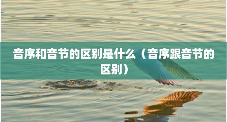 音序和音节的区别是什么（音序跟音节的区别）