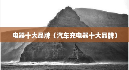 电器十大品牌（汽车充电器十大品牌）