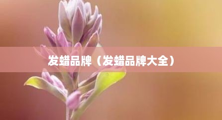 发蜡品牌（发蜡品牌大全）