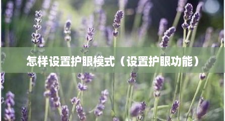 怎样设置护眼模式（设置护眼功能）