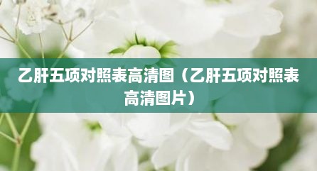 乙肝五项对照表高清图（乙肝五项对照表高清图片）