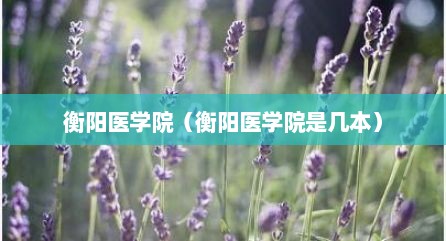 衡阳医学院（衡阳医学院是几本）