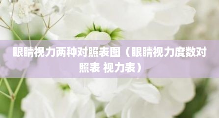 眼睛视力两种对照表图（眼睛视力度数对照表 视力表）