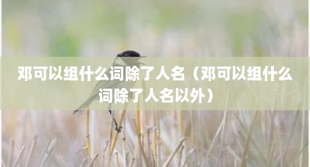 邓可以组什么词除了人名（邓可以组什么词除了人名以外）