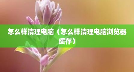 怎么样清理电脑（怎么样清理电脑浏览器缓存）