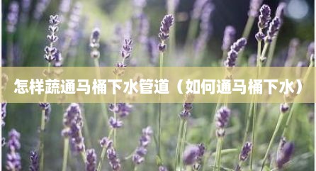 怎样蔬通马桶下水管道（如何通马桶下水）