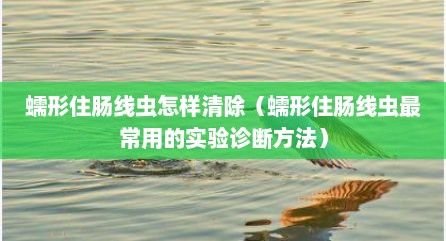 蠕形住肠线虫怎样清除（蠕形住肠线虫最常用的实验诊断方法）