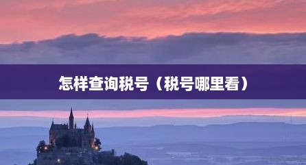 怎样查询税号（税号哪里看）