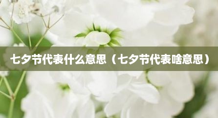 七夕节代表什么意思（七夕节代表啥意思）