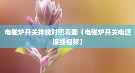 电磁炉开关排线对照表图（电磁炉开关电源接线视频）