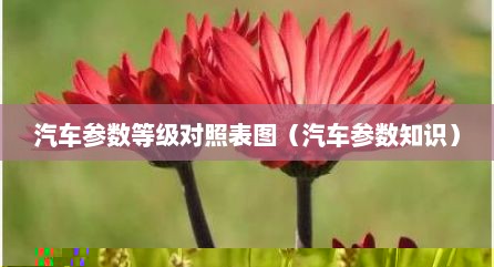 汽车参数等级对照表图（汽车参数知识）