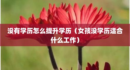 没有学历怎么提升学历（女孩没学历适合什么工作）