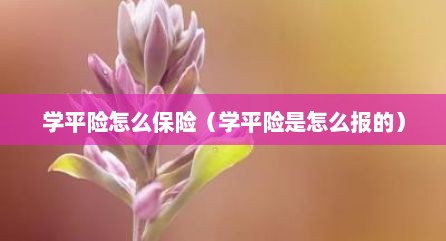 学平险怎么保险（学平险是怎么报的）
