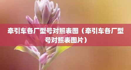 牵引车各厂型号对照表图（牵引车各厂型号对照表图片）