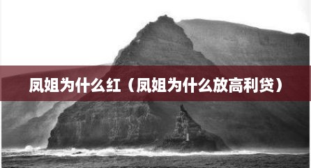 凤姐为什么红（凤姐为什么放高利贷）