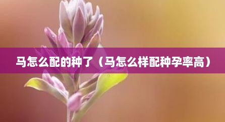 马怎么配的种了（马怎么样配种孕率高）