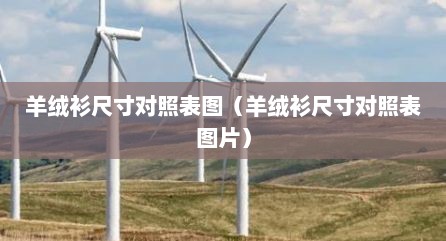 羊绒衫尺寸对照表图（羊绒衫尺寸对照表图片）
