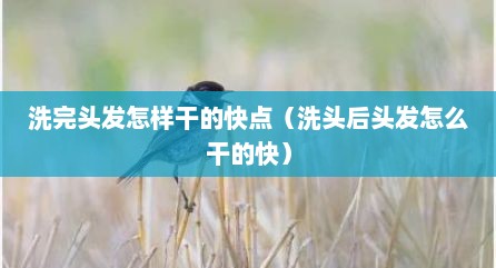 洗完头发怎样干的快点（洗头后头发怎么干的快）