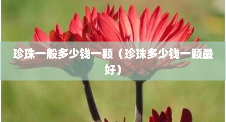 珍珠一般多少钱一颗（珍珠多少钱一颗最好）