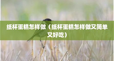纸杯蛋糕怎样做（纸杯蛋糕怎样做又简单又好吃）