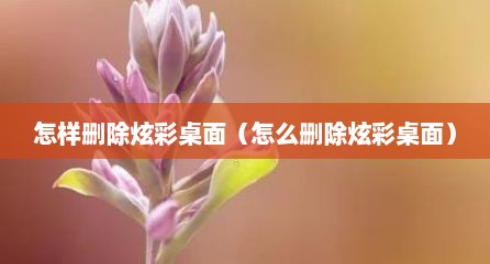 怎样删除炫彩桌面（怎么删除炫彩桌面）