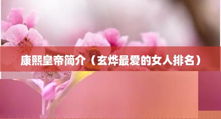 康熙皇帝简介（玄烨最爱的女人排名）