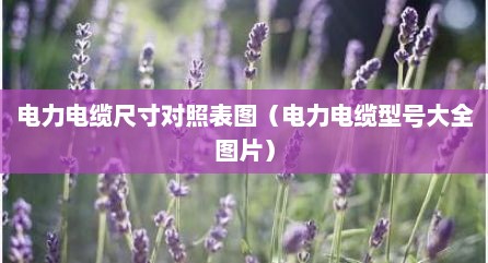 电力电缆尺寸对照表图（电力电缆型号大全图片）