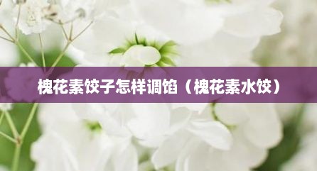 槐花素饺子怎样调馅（槐花素水饺）
