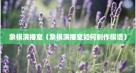 象棋演播室（象棋演播室如何制作棋谱）