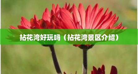 拈花湾好玩吗（拈花湾景区介绍）