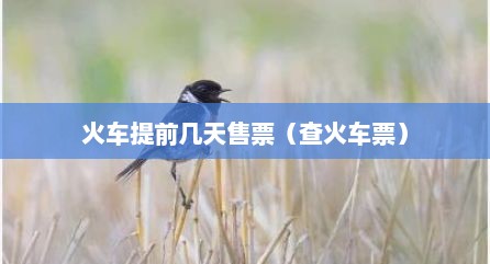 火车提前几天售票（查火车票）
