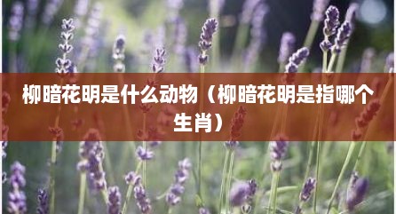 柳暗花明是什么动物（柳暗花明是指哪个生肖）