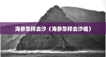 海参怎样去沙（海参怎样去沙嘴）