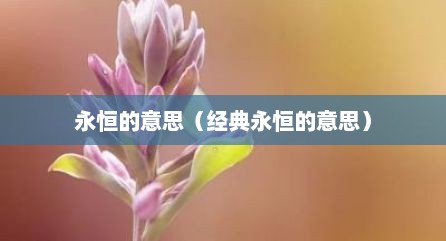 永恒的意思（经典永恒的意思）